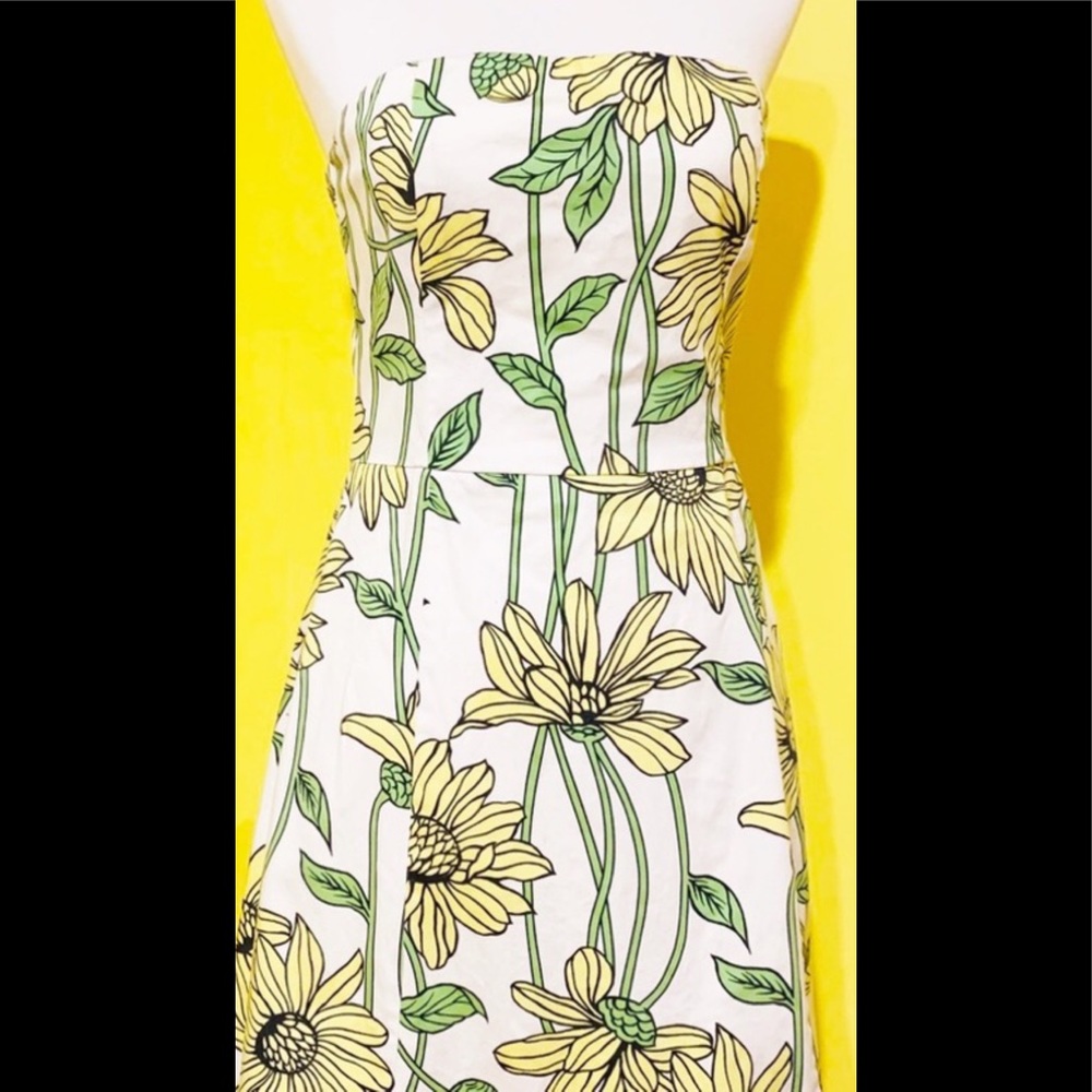 Helen Wang fit and flare sundress